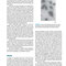 Jawetz Melnick & Adelbergs Medical Microbiology 28 E